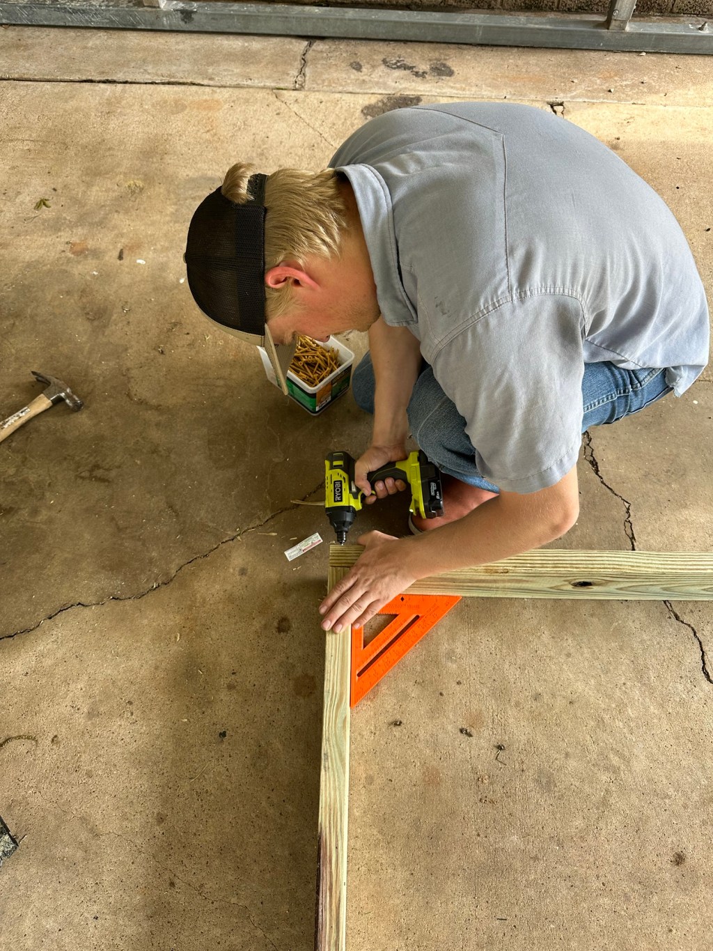 Clucking Up My Winter Blues: How Fake Birds Led to Real&nbsp;Chickens