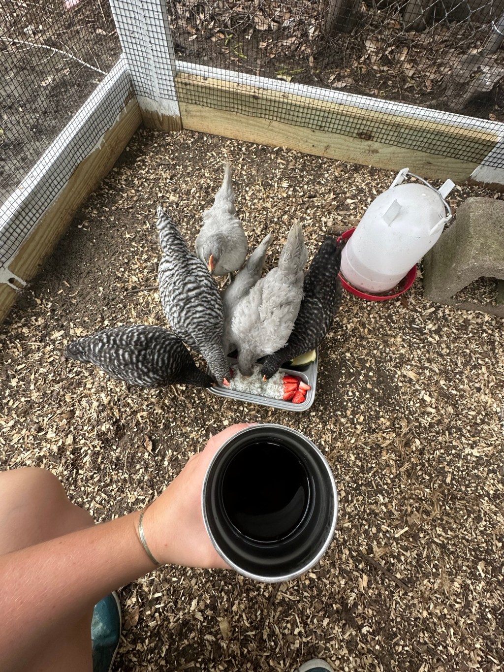 Southern Hospitality: A Recipe Passed&nbsp;Down