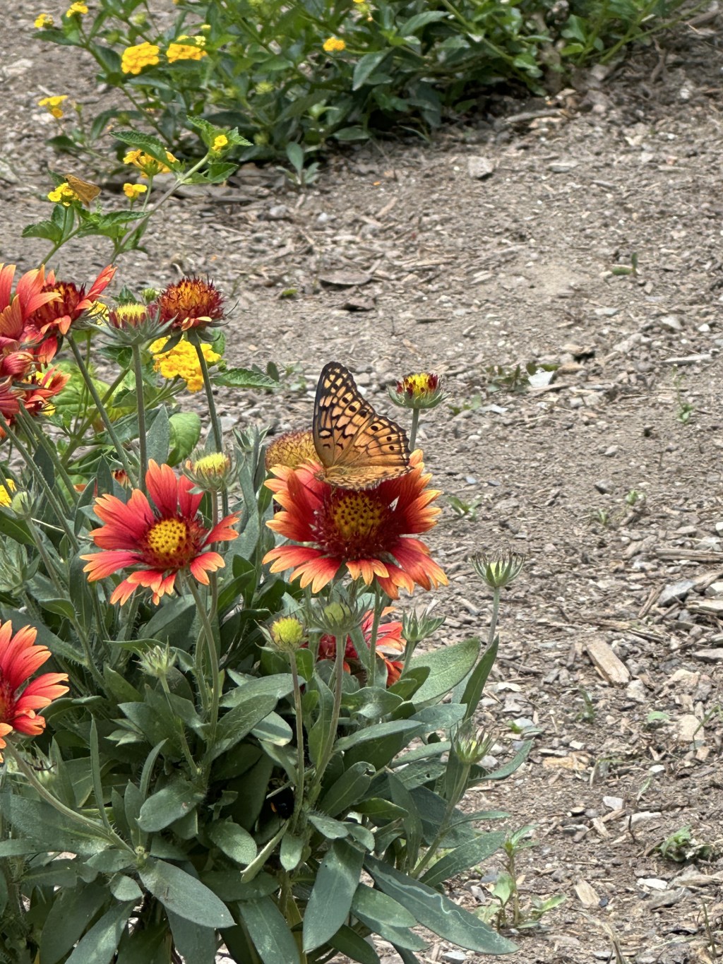 The “Hot” List: Three-Day Summer Trip